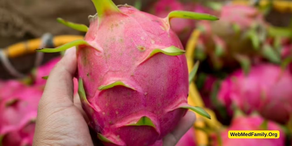 Can I Eat 1 Dragon Fruit a Day