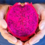 Does Dragon Fruit Affect Fertility