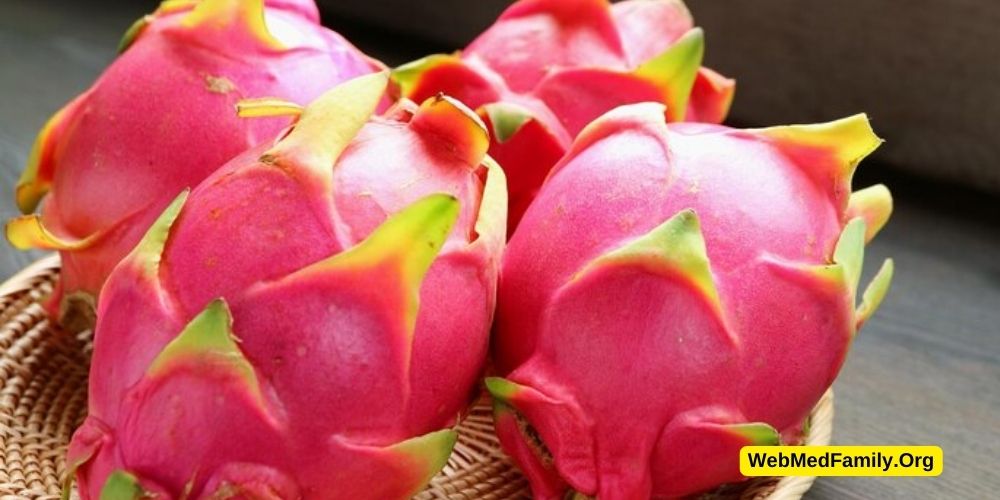 Understanding Dragon Fruit Plant