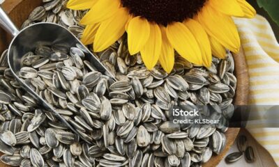 Benefits of Sunflower Seeds A Tiny Snack with Huge Health Power