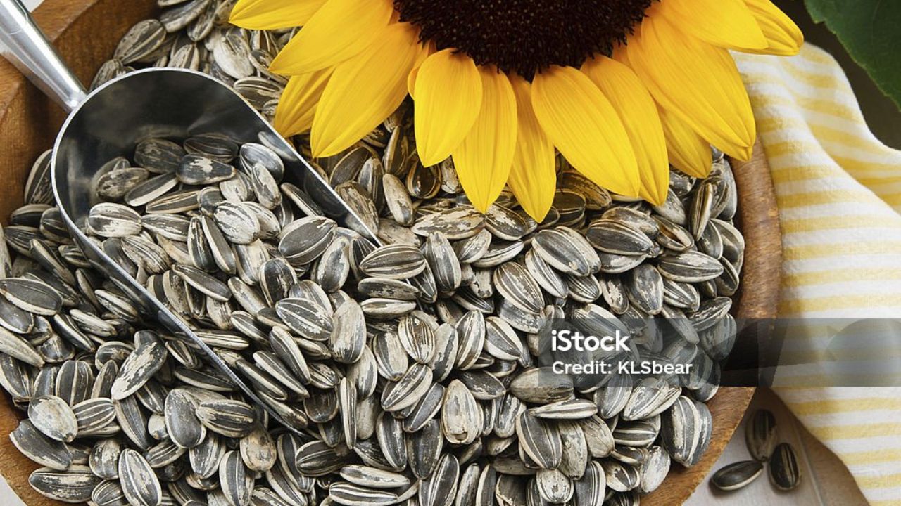 Benefits of Sunflower Seeds A Tiny Snack with Huge Health Power