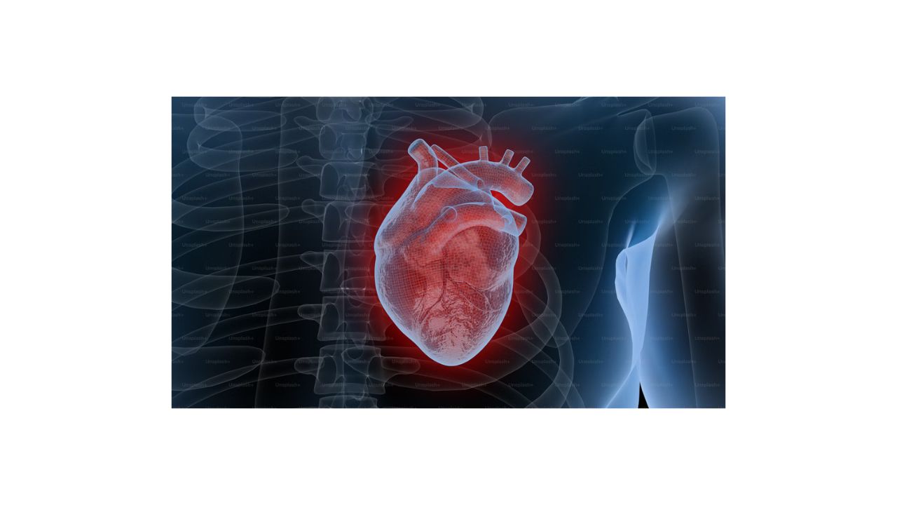 Heart Palpitation Symptoms, Causes, and Treatment