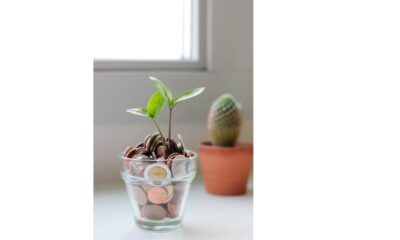 How to Start Investing With Little Money: Smart Beginner’s Guide 2026