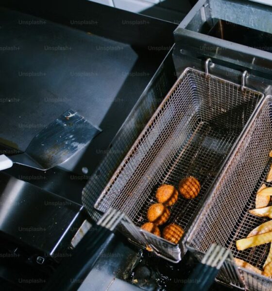 Non-Toxic Air Fryer The Healthier and Without Harmful Chemicals