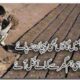 Urdu Poetry for far from home people دلوں کو چھو لینے والی شاعری پردیسوں کے نا