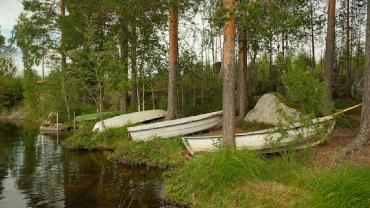 Veneajelu